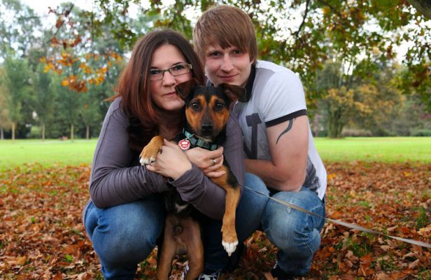 Pandemic Puppies | Sash-Tag